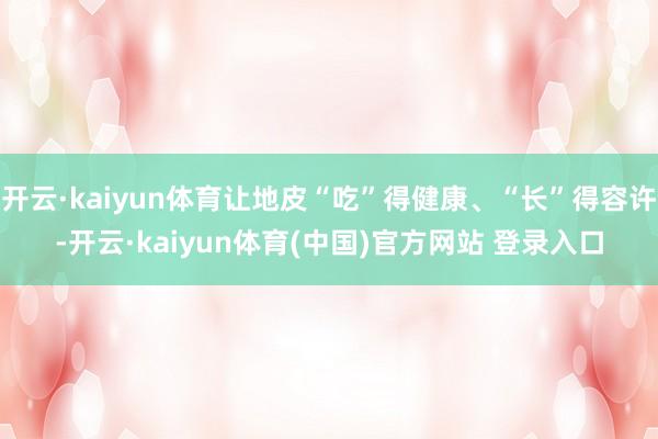 开云·kaiyun体育让地皮“吃”得健康、“长”得容许-开云·kaiyun体育(中国)官方网站 登录入口