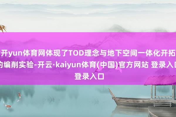 开yun体育网体现了TOD理念与地下空间一体化开拓的编削实验-开云·kaiyun体育(中国)官方网站 登录入口