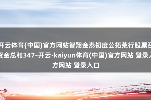 开云体育(中国)官方网站智翔金泰初度公拓荒行股票召募资金总和347-开云·kaiyun体育(中国)官方网站 登录入口