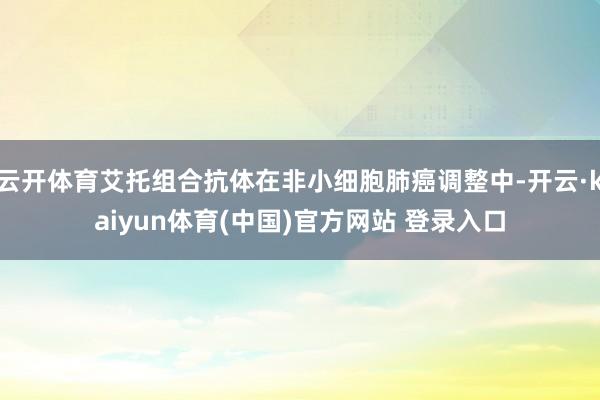云开体育艾托组合抗体在非小细胞肺癌调整中-开云·kaiyun体育(中国)官方网站 登录入口